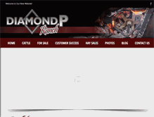 Tablet Screenshot of diamondpranch.com